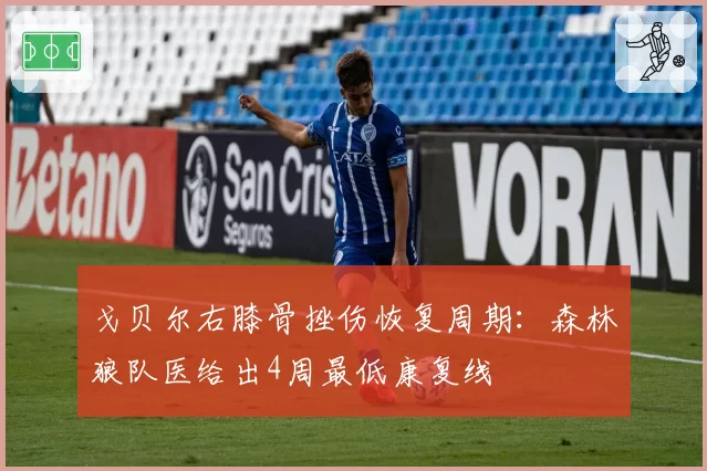 戈贝尔右膝骨挫伤恢复周期:森林狼队医给出4周最低康复线
