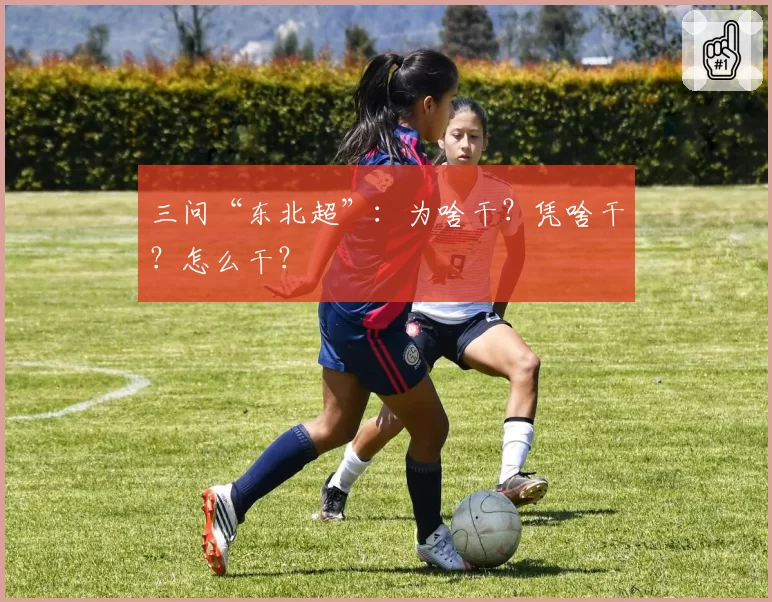 三问“东北超”:为啥干?凭啥干?怎么干?